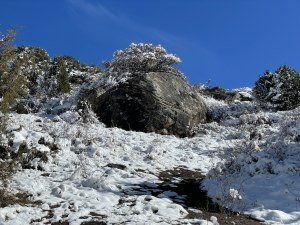 Огромный булыжник
