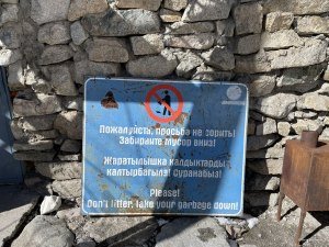 Просьба не сорить
