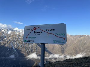 Остановка Тектир
