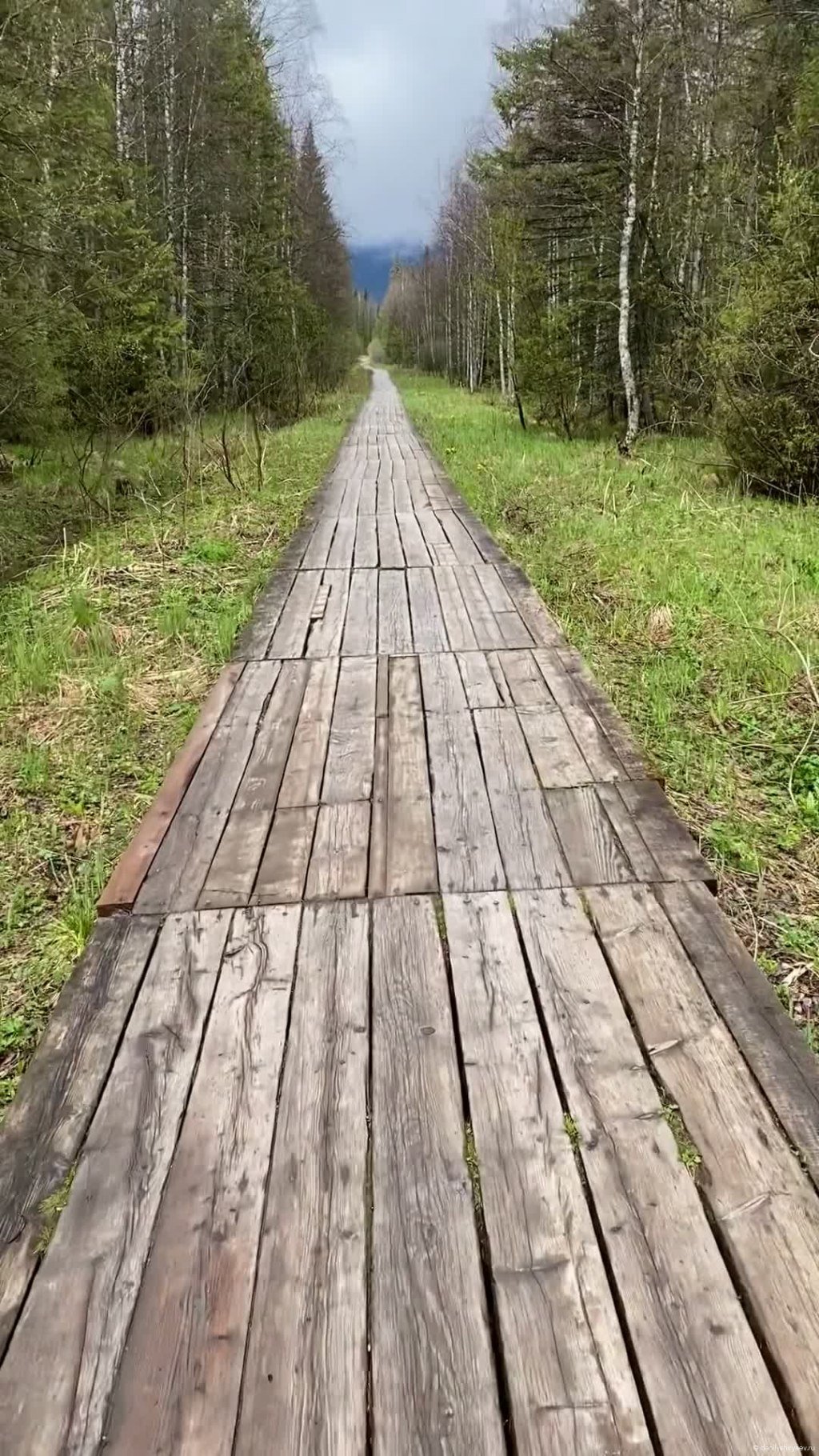 Дорога к вершине