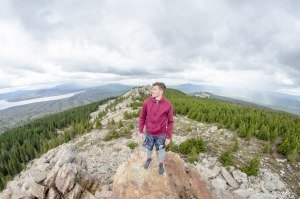 Просторы леса