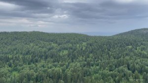Панорама с вершины
