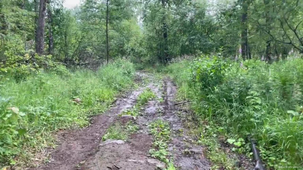 Обратная дорога под дождь