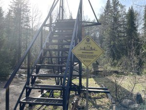 Одновременно не более 6 человек