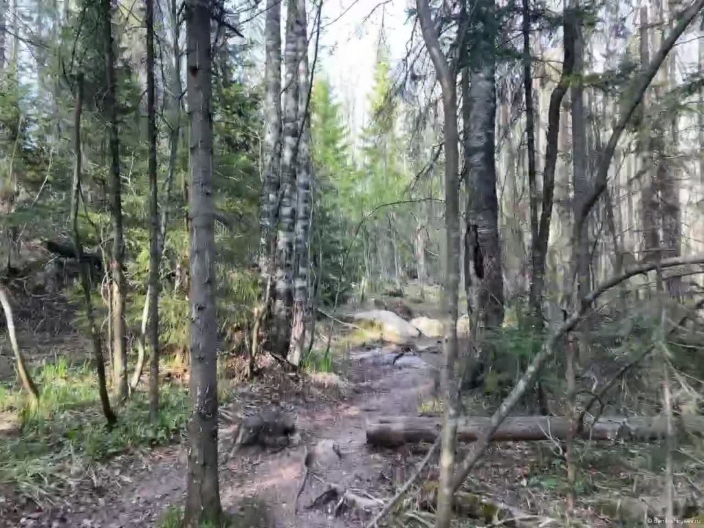 По пути в приют Гремучий ключ