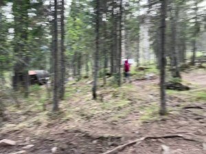 На входе в приют
