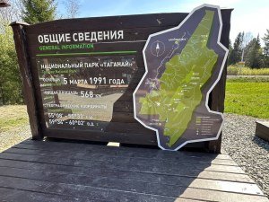 Общие сведения