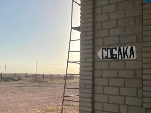 Путешествие через Казахстан на машине, 3 фото 8