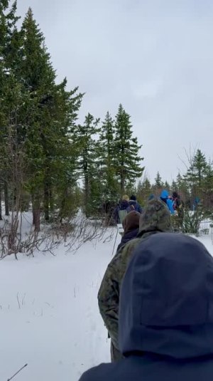 Video by Danil Shiryaev
