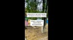 Запись от 11.11.2024
