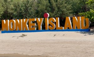 🐒 Monkey Island - Остров обезьян, фото 1