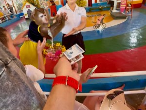 🐒 Monkey Island - Остров обезьян, фото 4