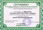 Сертификат участника I открытого турнира по робототехнике ШГПУ, г. Шадринск