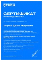 Сертификат онлайн-программа «Поддержка в адаптации ветеранов. ЯСТОБОЙ 2.0» МУ Сенеж, онлайн