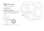 Сертификат «Введение в экспорт: жизненный цикл экспортного проекта», Школа экспорта, онлайн