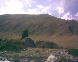 Классическое фото Киргизии: горы, дерево, камень