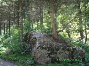 Ель из камня