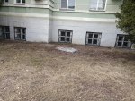 Окна цокольного этажа ШГПУ и остатки снегопадов 