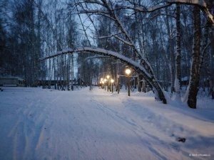 Дорога к реке через всю базу