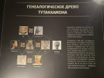 Генеалогическое древо Тутанхамона