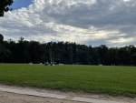 Большая дворцовая поляна