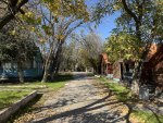 Дорога между домиками