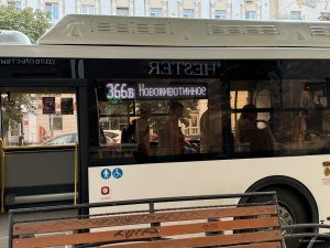 Маршрут новоживотинное
