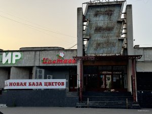 Новая база цветов и человек отдыхает