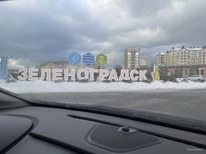 На въезде встречает с котиками