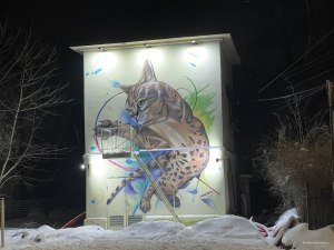 Граффити пятнистого кота