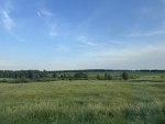 Поля, леса, бескрайние просторы