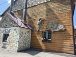 История о том, как медведь машину мыл