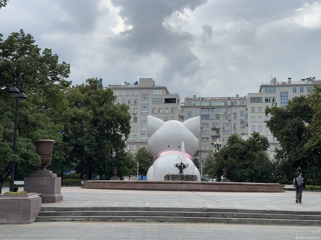 Кот молодежь Москвы