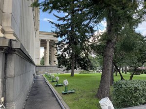 Подсветка и парк