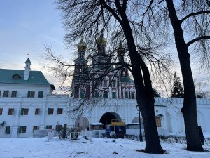 Жилые помещения