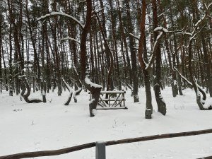 Ограждение от животных