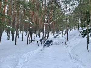 Дорога к побережью